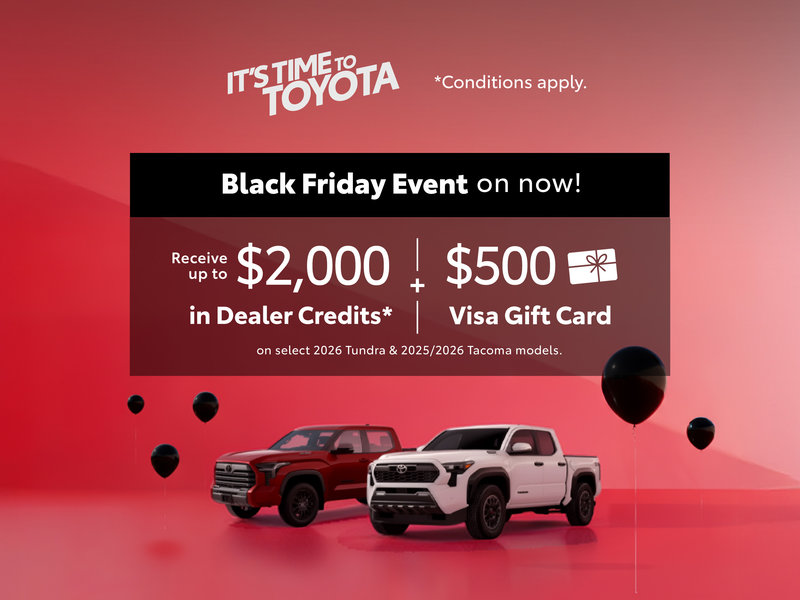 Black Friday Special Offer