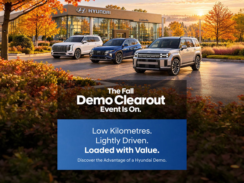 Demo Clearout Event
