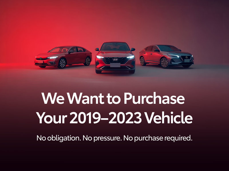We Want To Buy Your Car