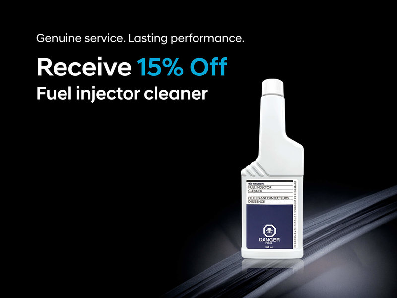 Fuel Injector Cleaner Special