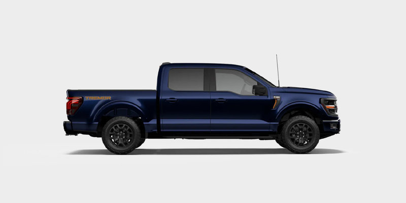 Ford F-150 ALUM Winter Tire Package