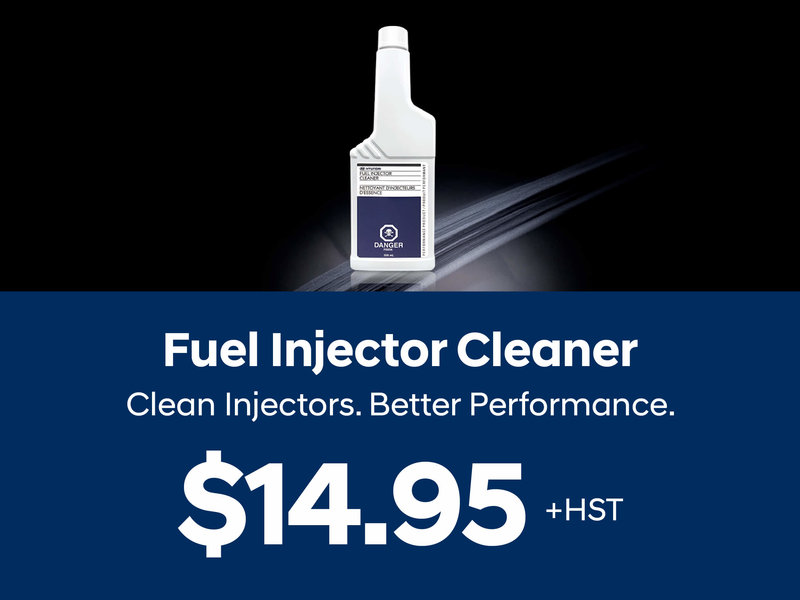Fuel Injector Cleaner