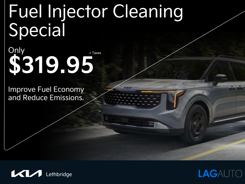 Fuel Injector Cleaning Special