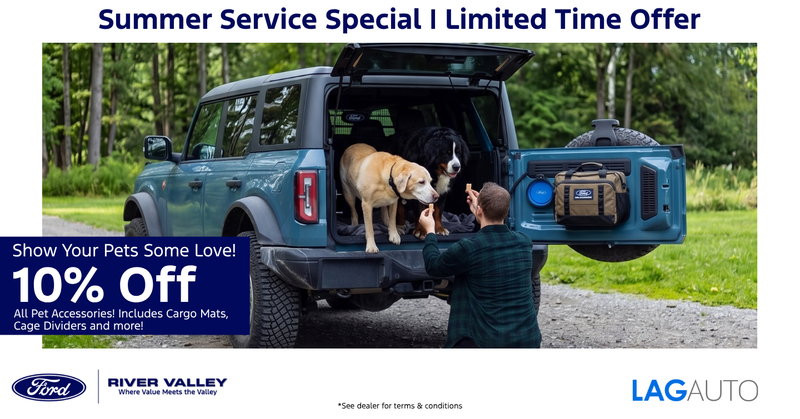 10% Off Pet Accessories