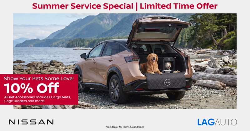 10% Off Pet Accessories