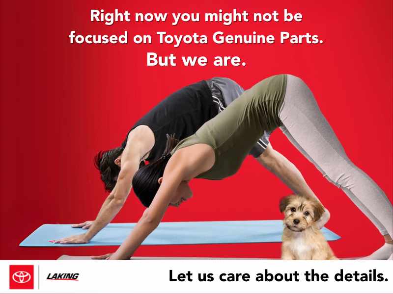 Toyota Genuine Parts