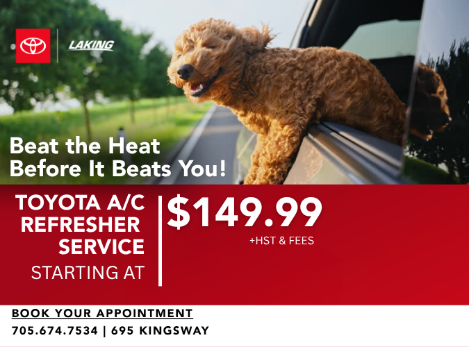 Beat the Heat, Before the Heat Beats You!