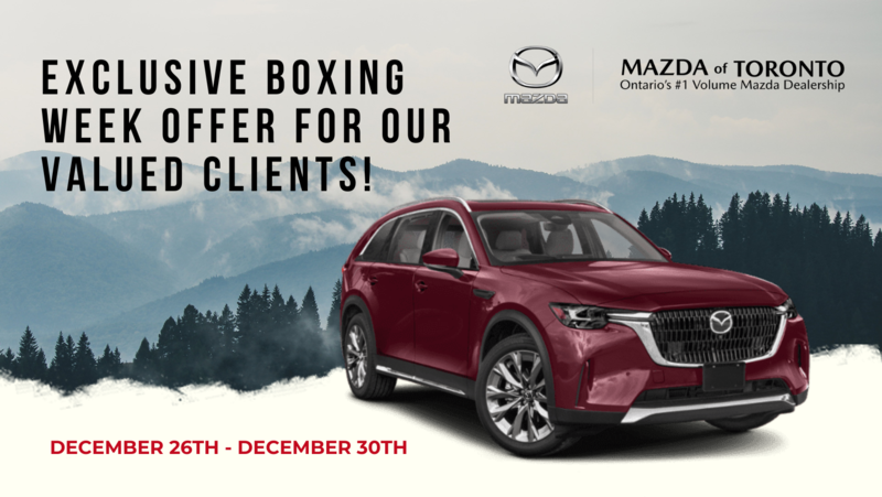 Exclusive Boxing Week Offer