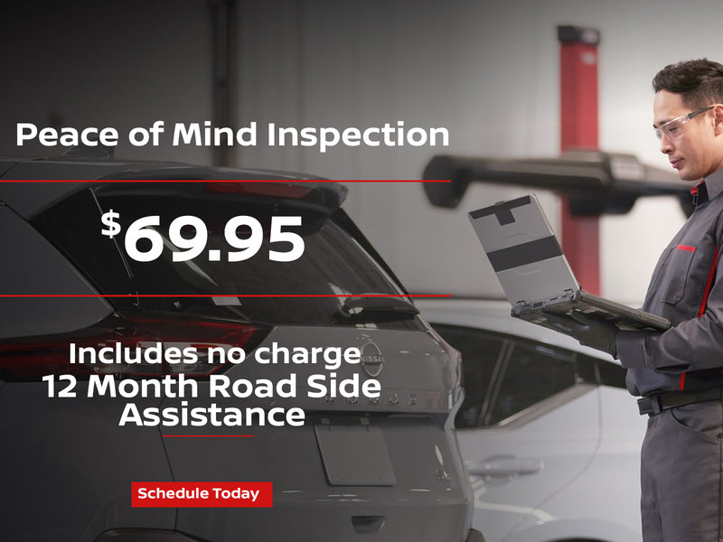 Peace of Mind Inspection