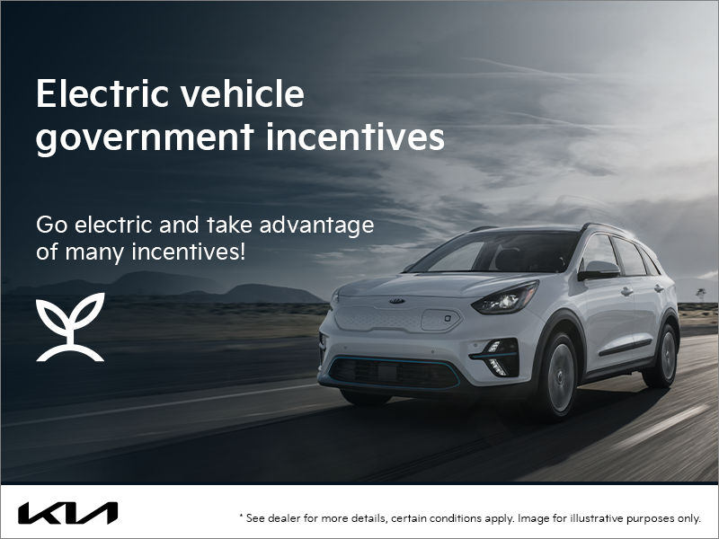 Electric Vehicle Government Incentives