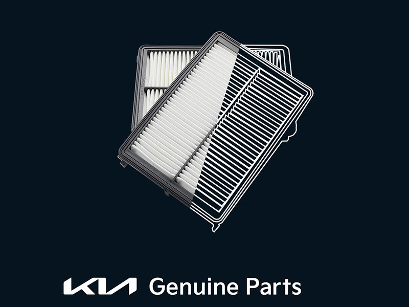 Kia Genuine Filters