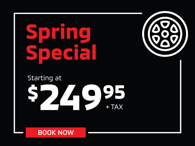 Spring Special Service Offer
