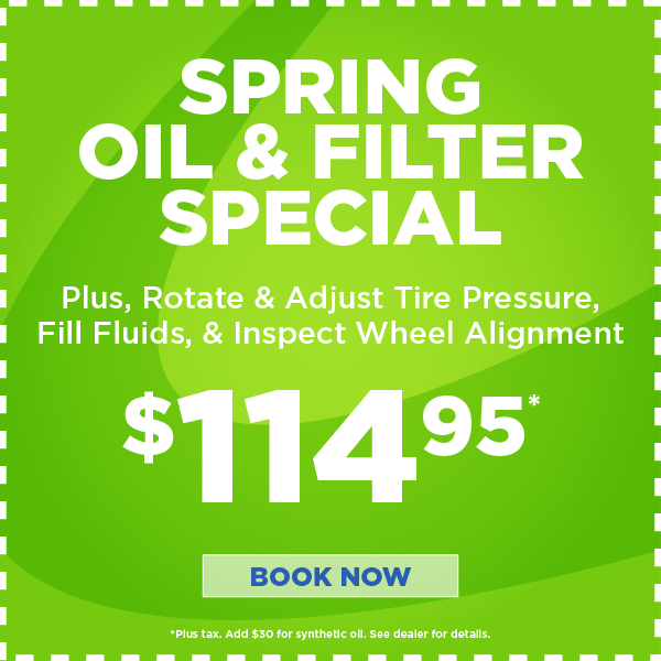 Spring Oil & Filter Special