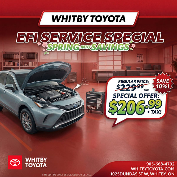 Spring Into Savings - EFI Special