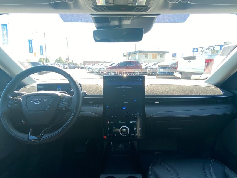 image-19