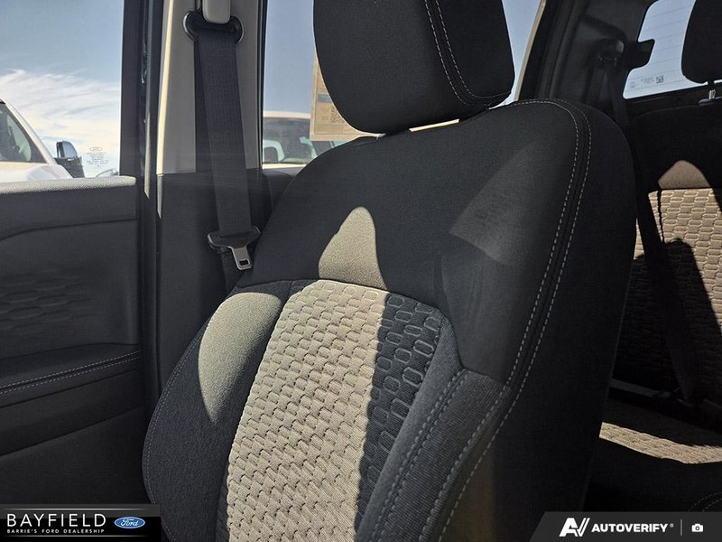image-19