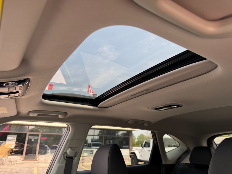 Kia Seltos X-Line 2024