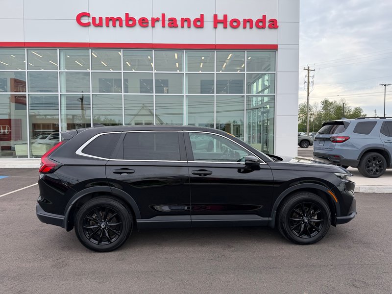 2025 Honda CR-V HYBRID EX-L in Amherst, Nova Scotia