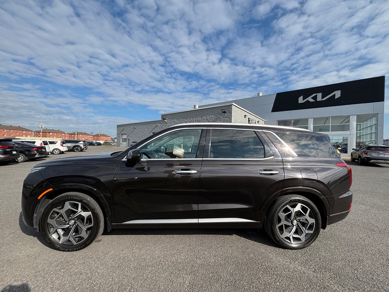 Hyundai Palisade Ultimate Calligraphy 2022 V6 - Affichage tête haute - Caméra 360 - Toit panoramique