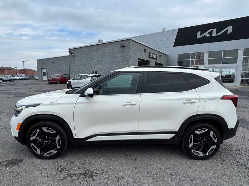 Kia Seltos SX 2024 AWD | CUIR - TOIT- NAVIGATION |