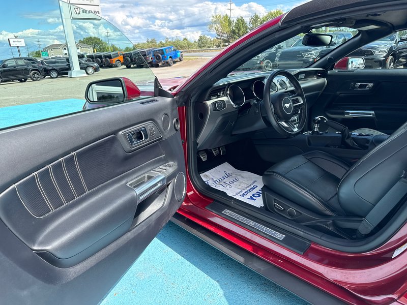 2015 Ford Mustang EcoBoost Premium 50th  anniversary edition This 50th anniversary edition convertible is in mint condition