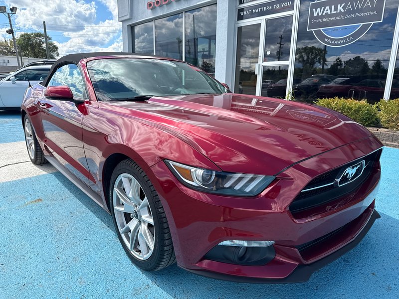 2015 Ford Mustang EcoBoost Premium 50th  anniversary edition This 50th anniversary edition convertible is in mint condition