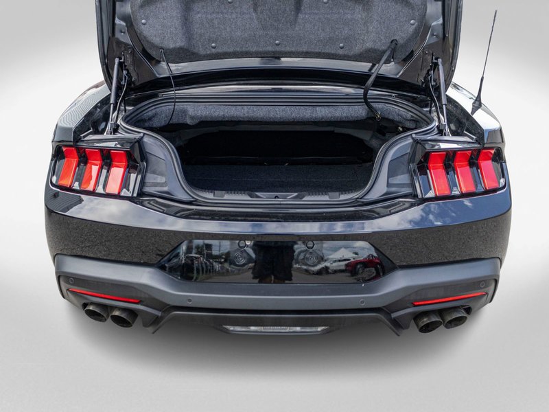 2024 Ford Mustang GT PREMIUM GT PERFORMANCE PACK 1 OWNER NO CARFAX CLAIM