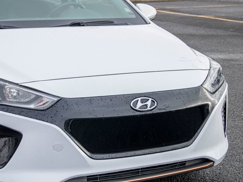 2019 Hyundai Ioniq Electric Preferred