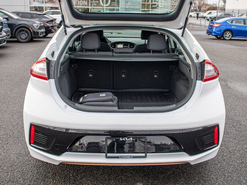 2019 Hyundai Ioniq Electric Preferred