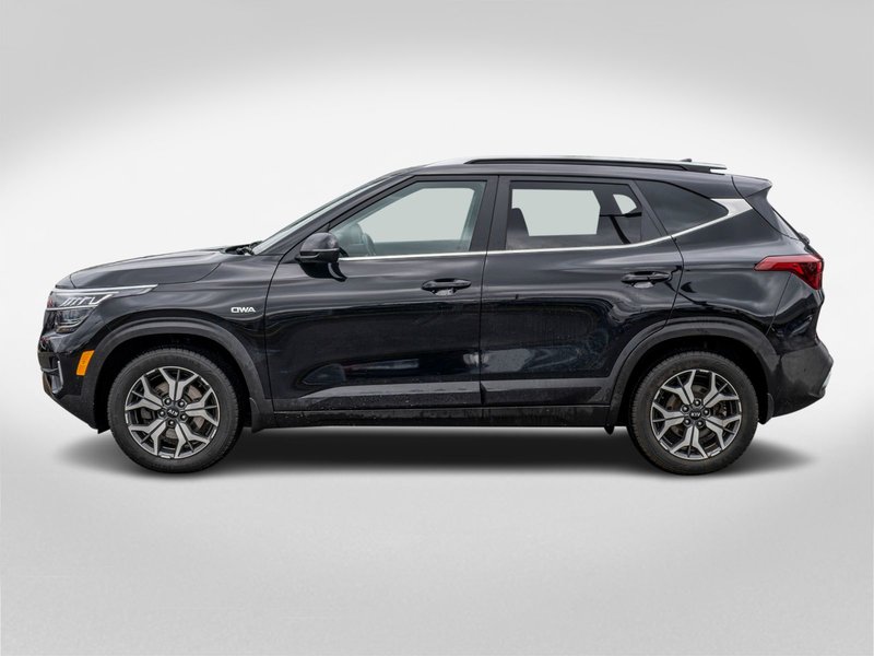 Kia Seltos EX PREMIUM AWD CUIR TOIT 2021 PAS DE RECLAMATION AU CARFAX
