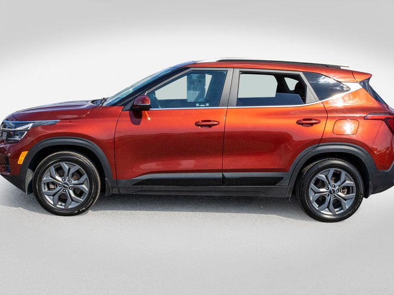 Kia Seltos EX AWD 2024 PAS DE RECLAMATION AU CARFAX