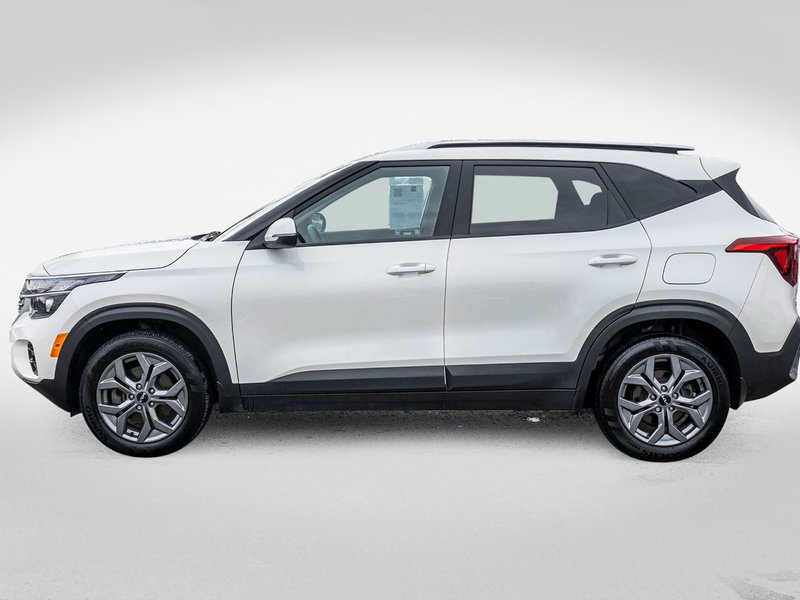 Kia Seltos LX AWD BLANC BAS KILO 2024 1 PROPRIO PAS DE RECLAMATION AU CARFAX