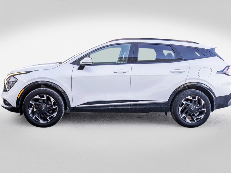 Kia Sportage EX PREMIUM BLANC CUIR ROUGE WOW 2025 PAS DE RECLAMATION AU CARFAX
