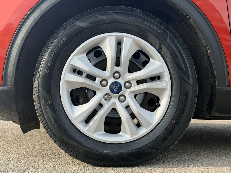 image-9