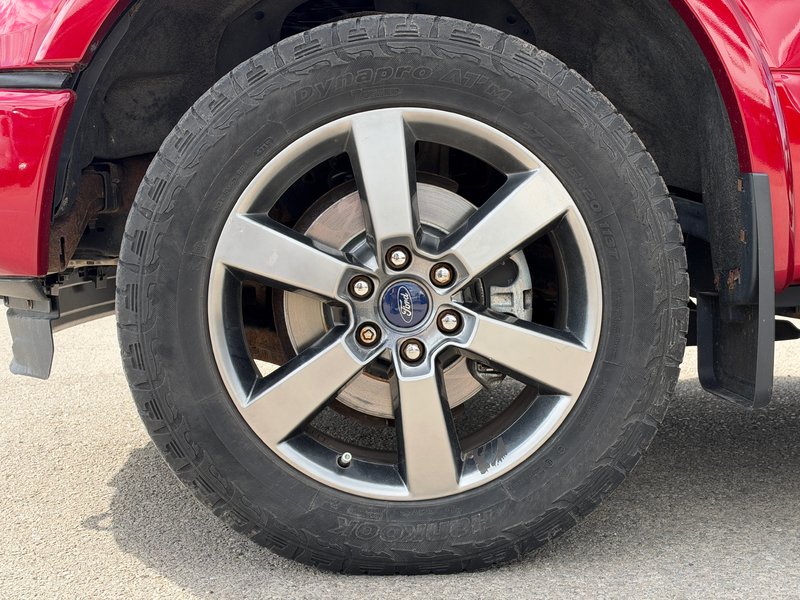 image-9