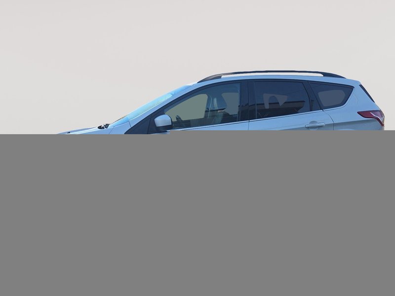 2014 Ford Escape SE 4WD 4dr SE