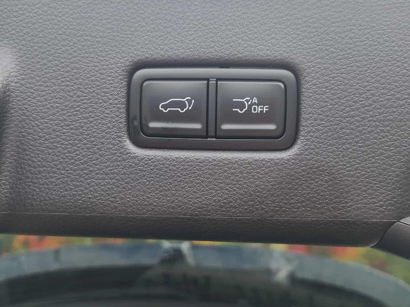 Kia Carnival  2026