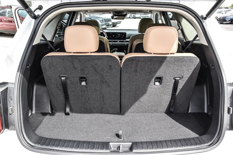 2025 Kia Sorento X-Line Limited AWD w/Olive Brown Interior