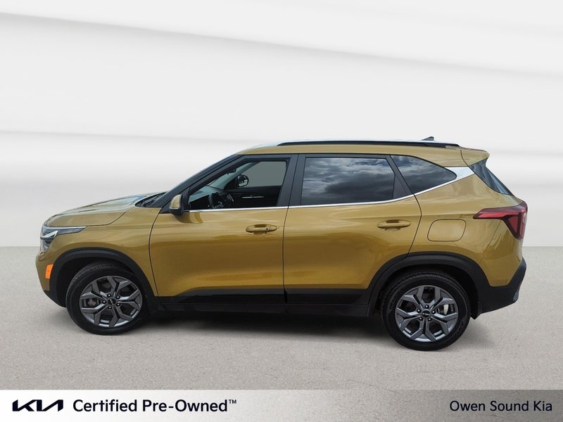 2024 Kia Seltos EX