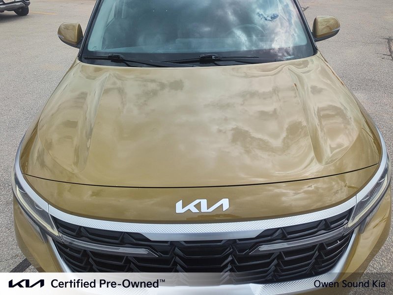 2024 Kia Seltos EX