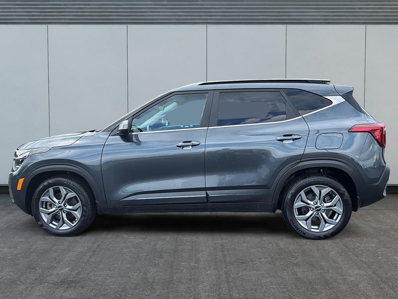 Kia SELTOS EX AWD  2024 APPLE CAR PLAY - ANDROID AUTO