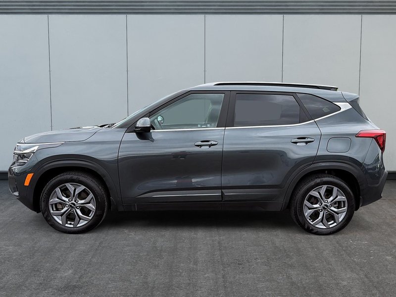 Kia Seltos EX 2025 AWD + Toit ouvrant + Cuir + Camera de recul
