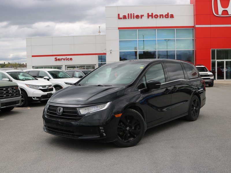Honda Odyssey Black Edition 2024 à Gatineau, Québec