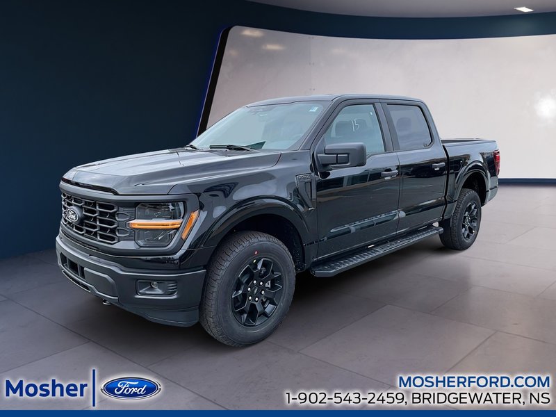 2025 Ford F-150 F-150 STX