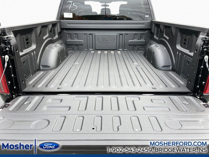 2025 Ford F-150 F-150 STX