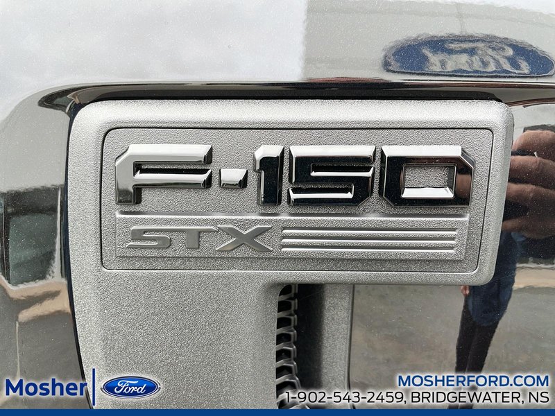 2025 Ford F-150 F-150 STX