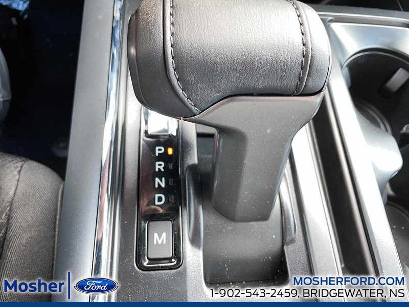 2026 Ford F-150 F-150 XLT