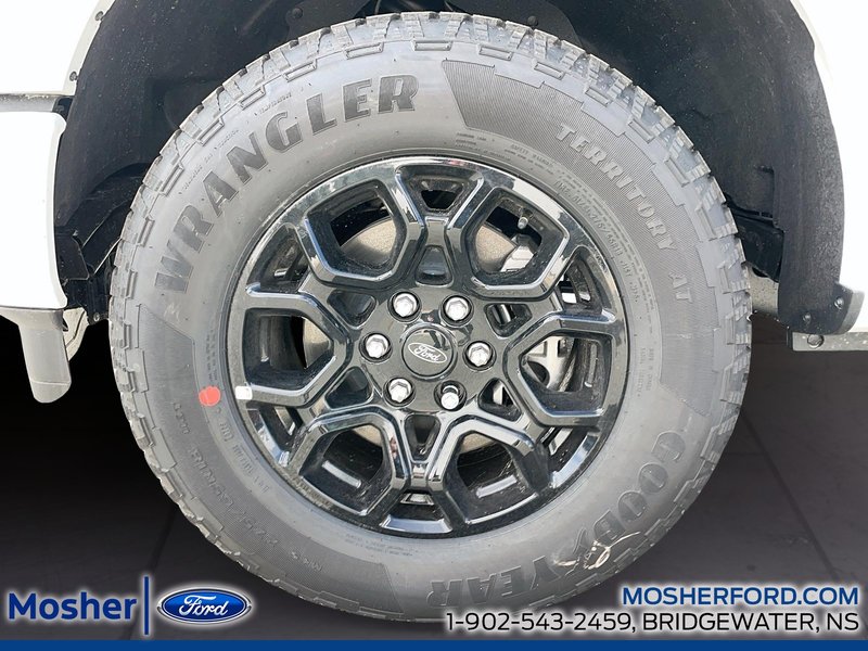 2026 Ford F-150 F-150 XLT
