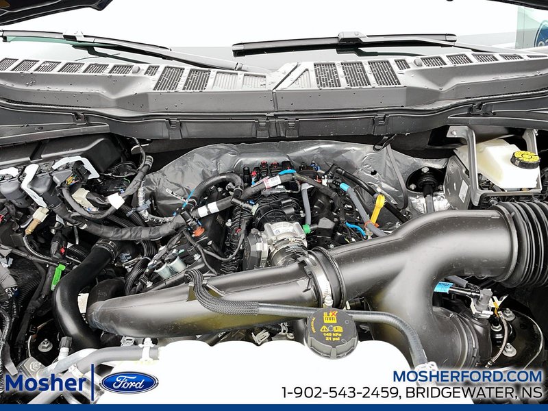 2026 Ford F-150 XL 141