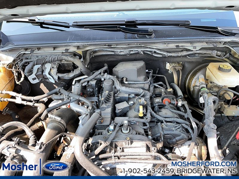 2024 Ford Ranger XL